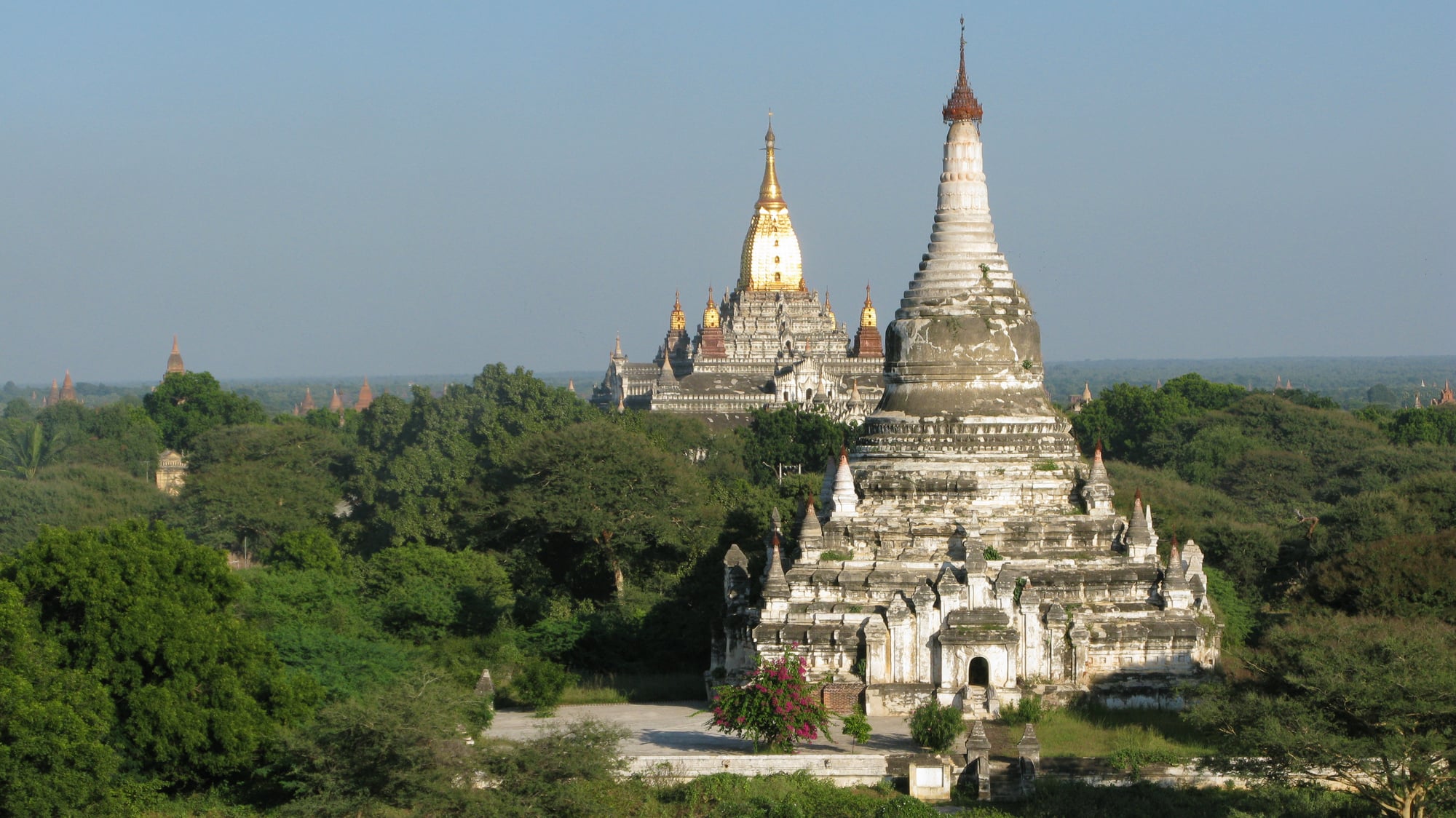The golden spire of Ananda Temple rises above the trees of the Bagan plain, seen from another temple's terrace.