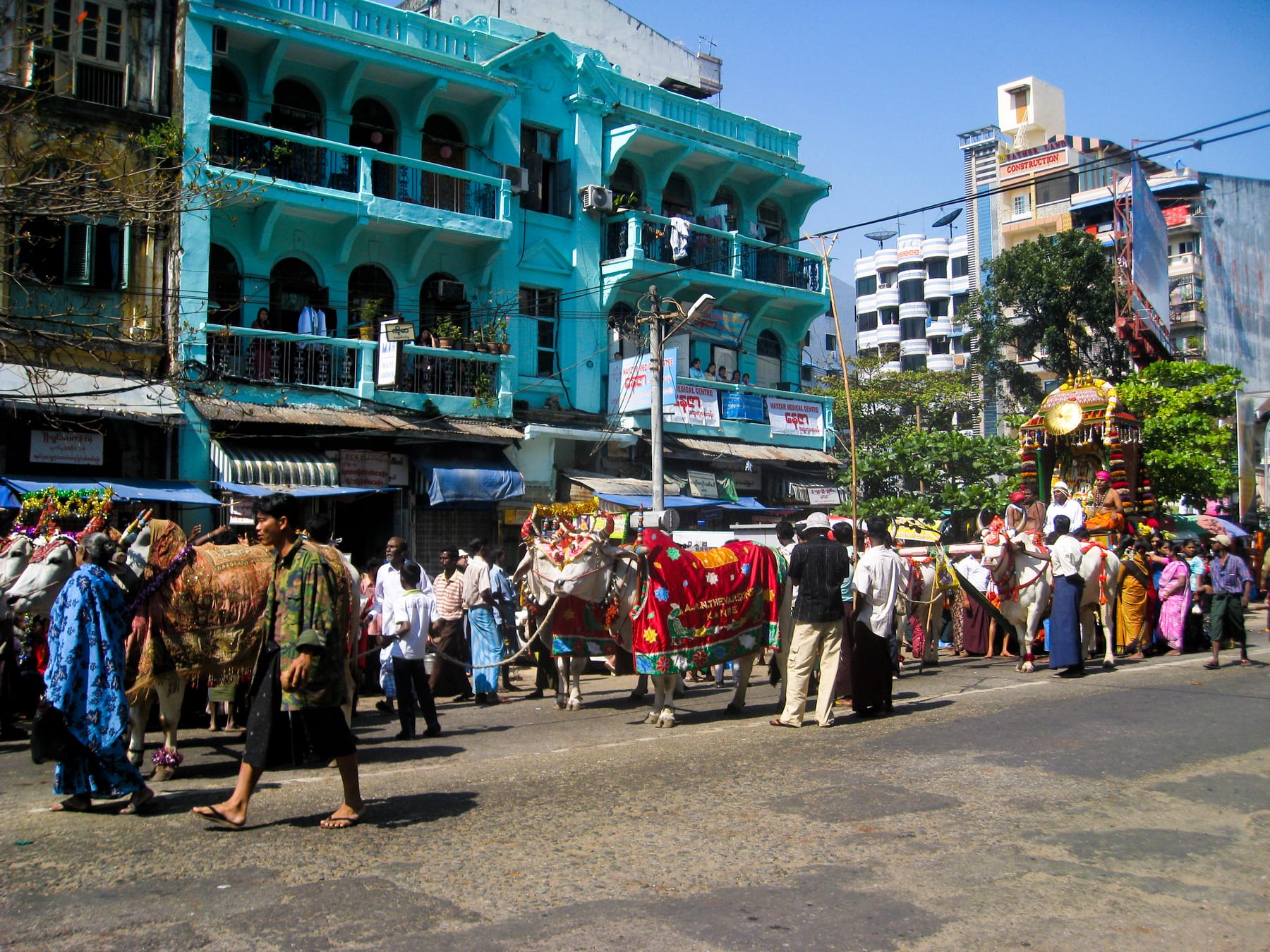 Decorated cows and worshippers in colourful dress take part in a Hindu temple procession through a Yangon street.