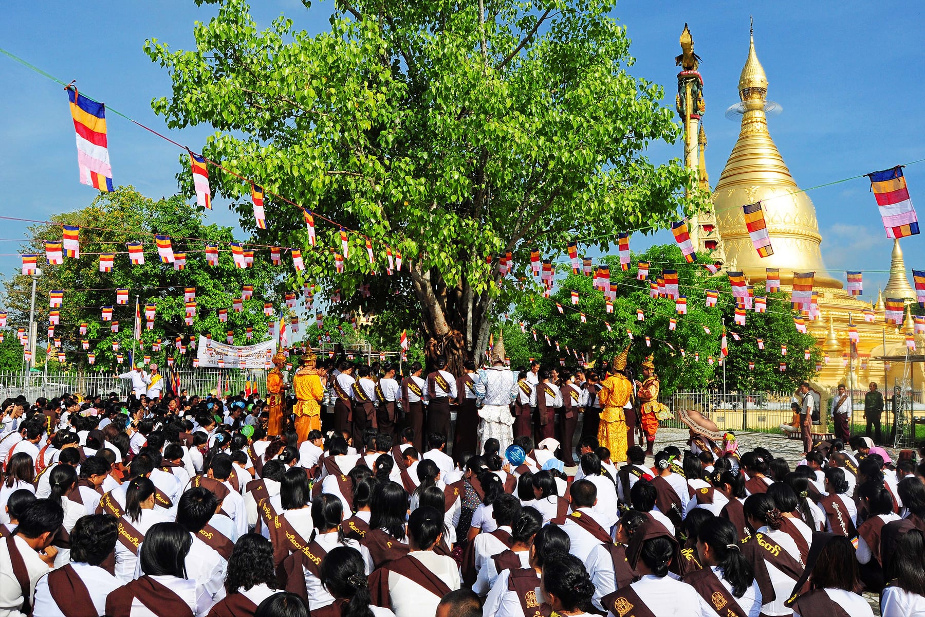 A large crowd gathers around a flag-draped Bodhi tree beside a golden pagoda for a Kason ceremony.