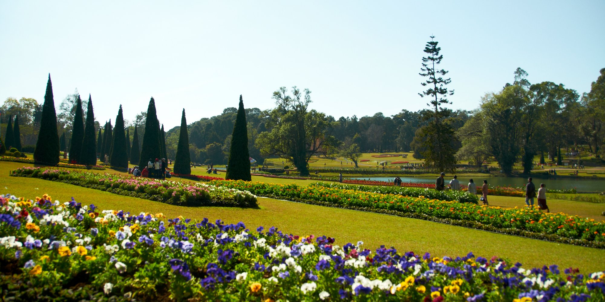 A wide view over the National Kandawgyi Botanical Gardens in Pyin Oo Lwin, with rows of clipped conical trees, flowerbeds and a lake under a clear sky.